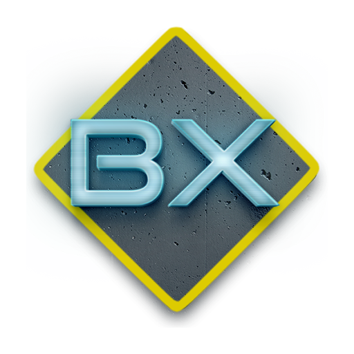 categoria-BX-AutoExpert-Valcea-scoala